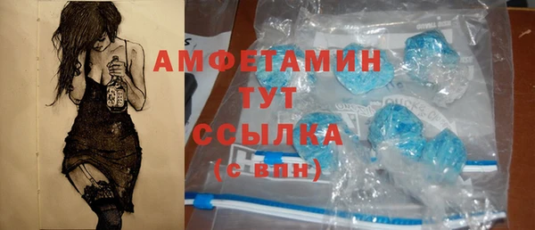 Альфа ПВП Верея