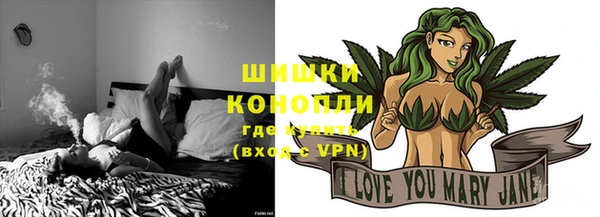 Альфа ПВП Верея