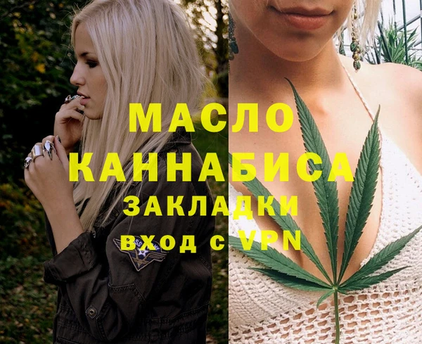 Альфа ПВП Верея