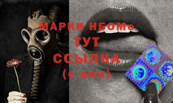 Альфа ПВП Верея