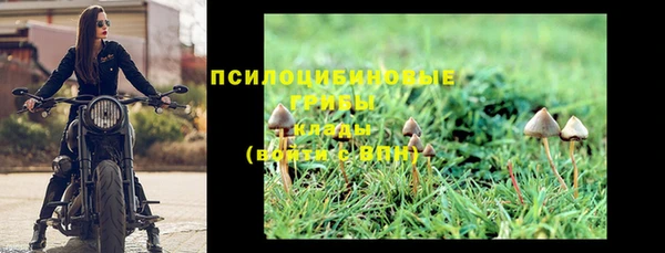 Альфа ПВП Верея