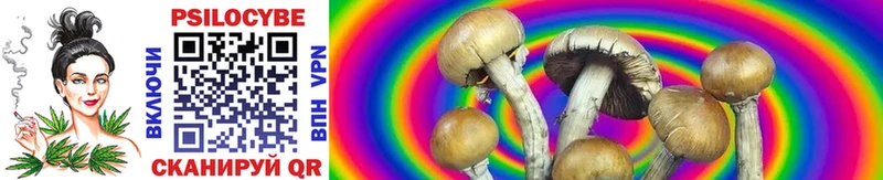Псилоцибиновые грибы Cubensis  Рыбинск 